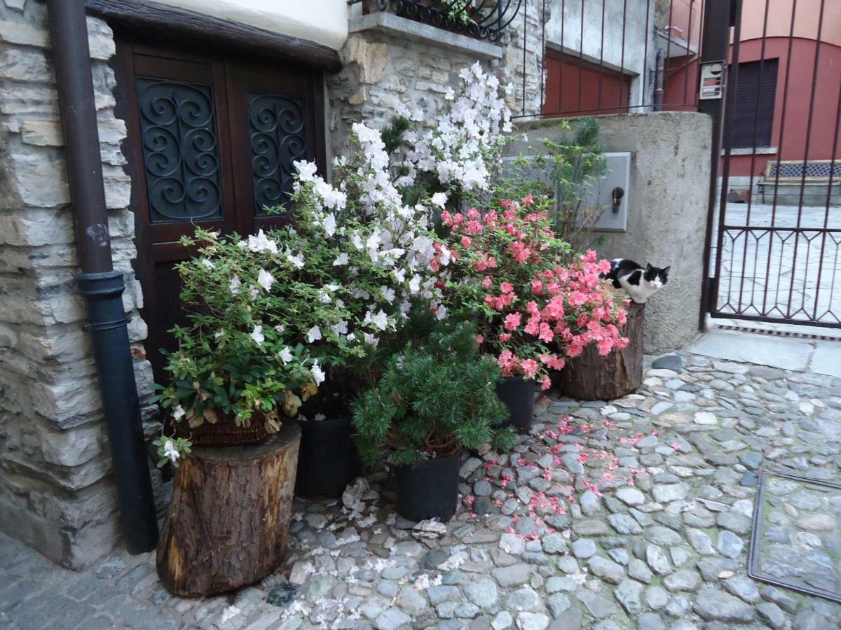 La Ca In Piaza Villa Cernobbio Exteriör bild